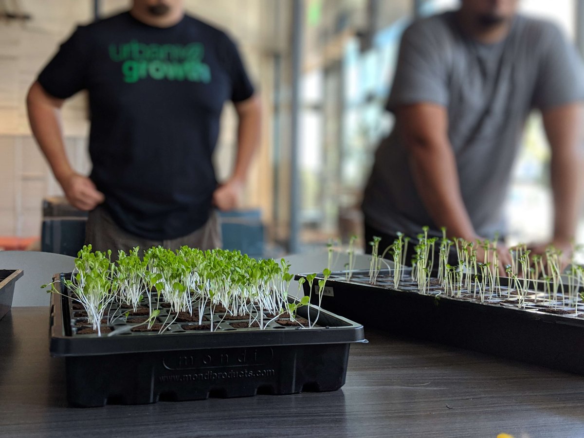 Urban Growth tweet media