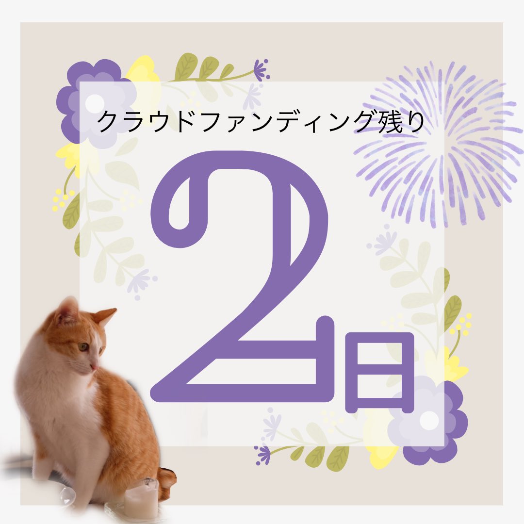 0801Kagio's tweet photo. クラウドファンディングは、終了まで残り２日となりました☘️

※かぎおは2020年11月に難病FIPを発症しました。
※ドライタイプ末期で投薬量2倍、かつ成猫で5キロ近く体重があるため、投薬量が非常に多く、薬の代金も莫大であるため、クラファンでご支援をお願いしています。ご協力をお願いいたします🙇‍♀️ https://t.co/WMx9N6IcWU