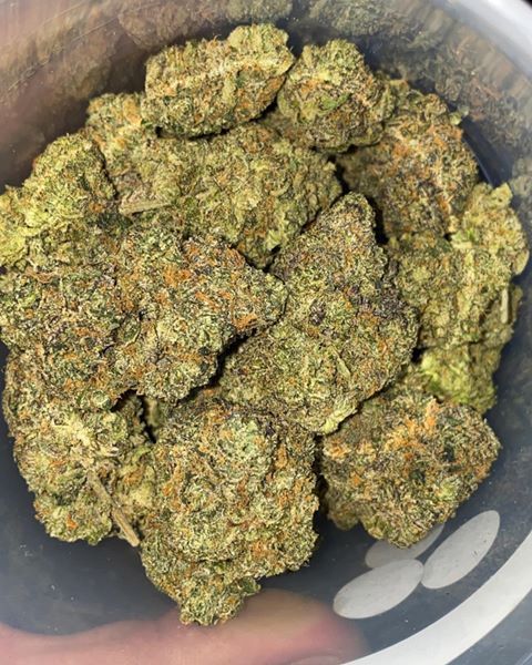 #hightimes #highlife #smokinghigh #WeedLovers #smokingeveryday #cannabislovers #420lovers #cannabisplug #highwehigh