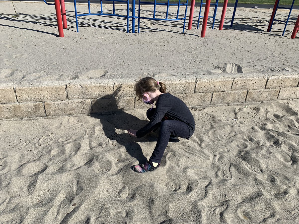 BanyanPTA's tweet photo. When the wind makes a mess of the playground, you play find the blacktop! 🐾. @BanyanBobcats #HearUsRoar https://t.co/wnBJciTQdz