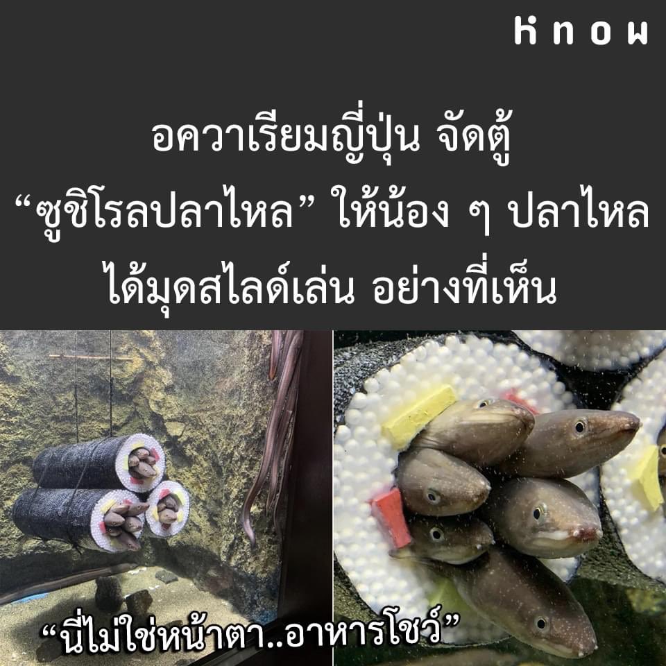 น้องๆกำลังฝึกงาน 😢