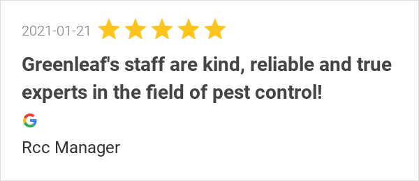 greenleafpestca's tweet photo. New 5.0-star Review: "GreenLeaf is the only pest control company I recommend. My business uses this company for... https://t.co/ezQg4xDteN