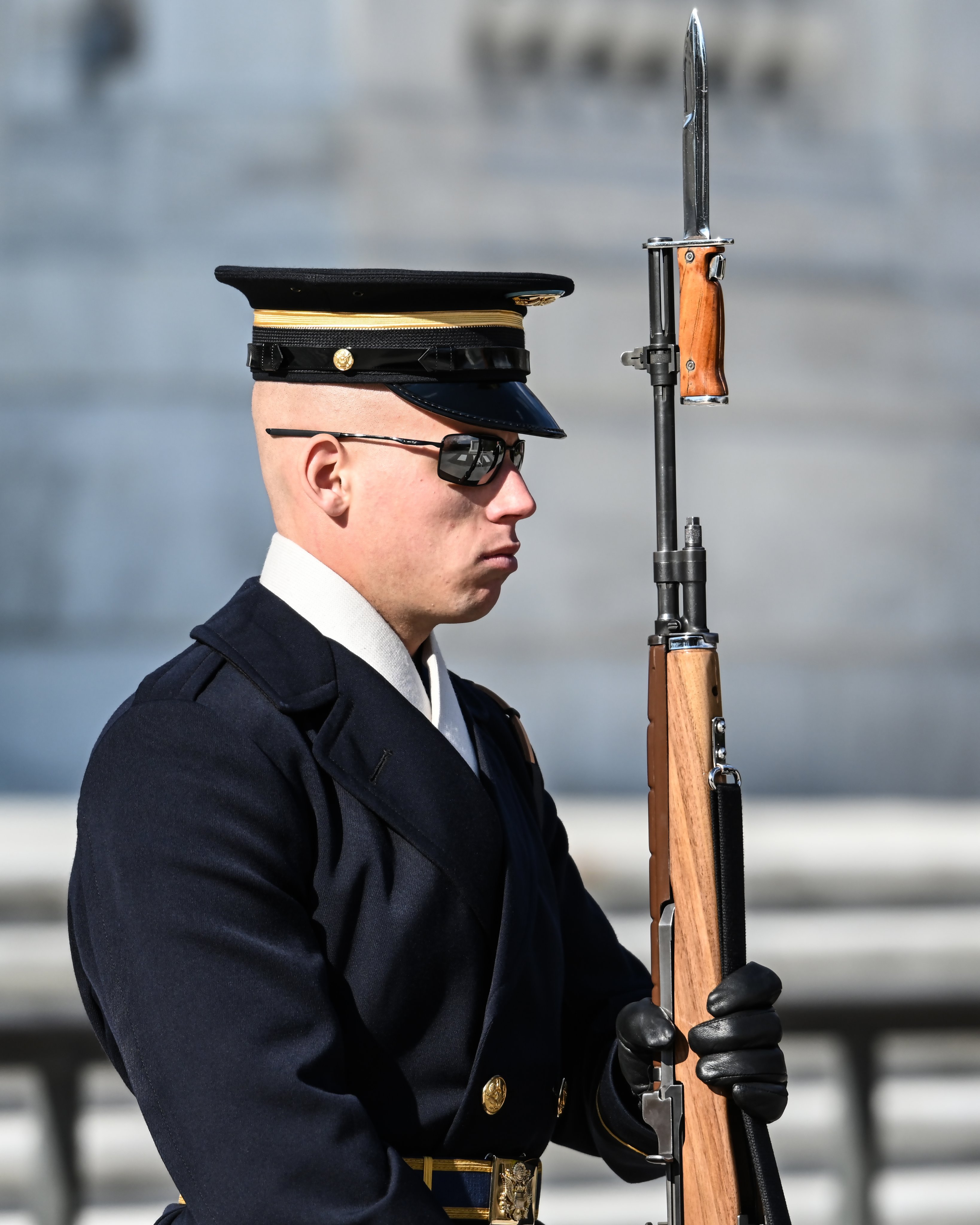Southwood Twitterissa T Co Ueli7jetg7 アメリカ国のオールドガードの人が持っているm14という鉄砲にかっこいい銃剣がついています T Co Jgidxnjbxy Twitter