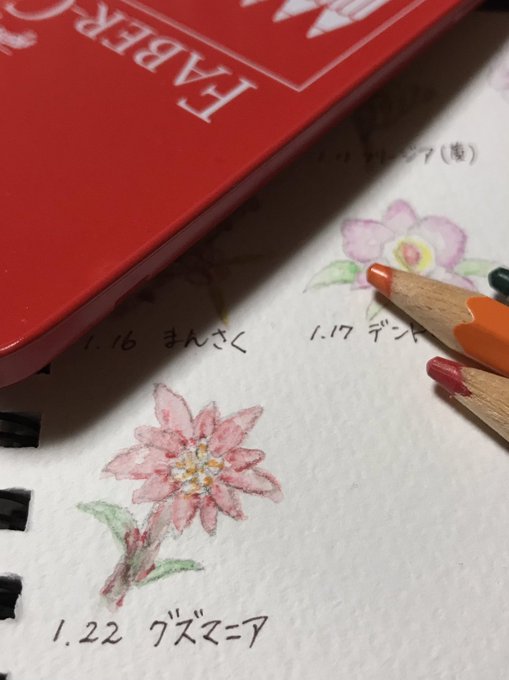 Twoucan 1月22日誕生日 の注目ツイート イラスト マンガ