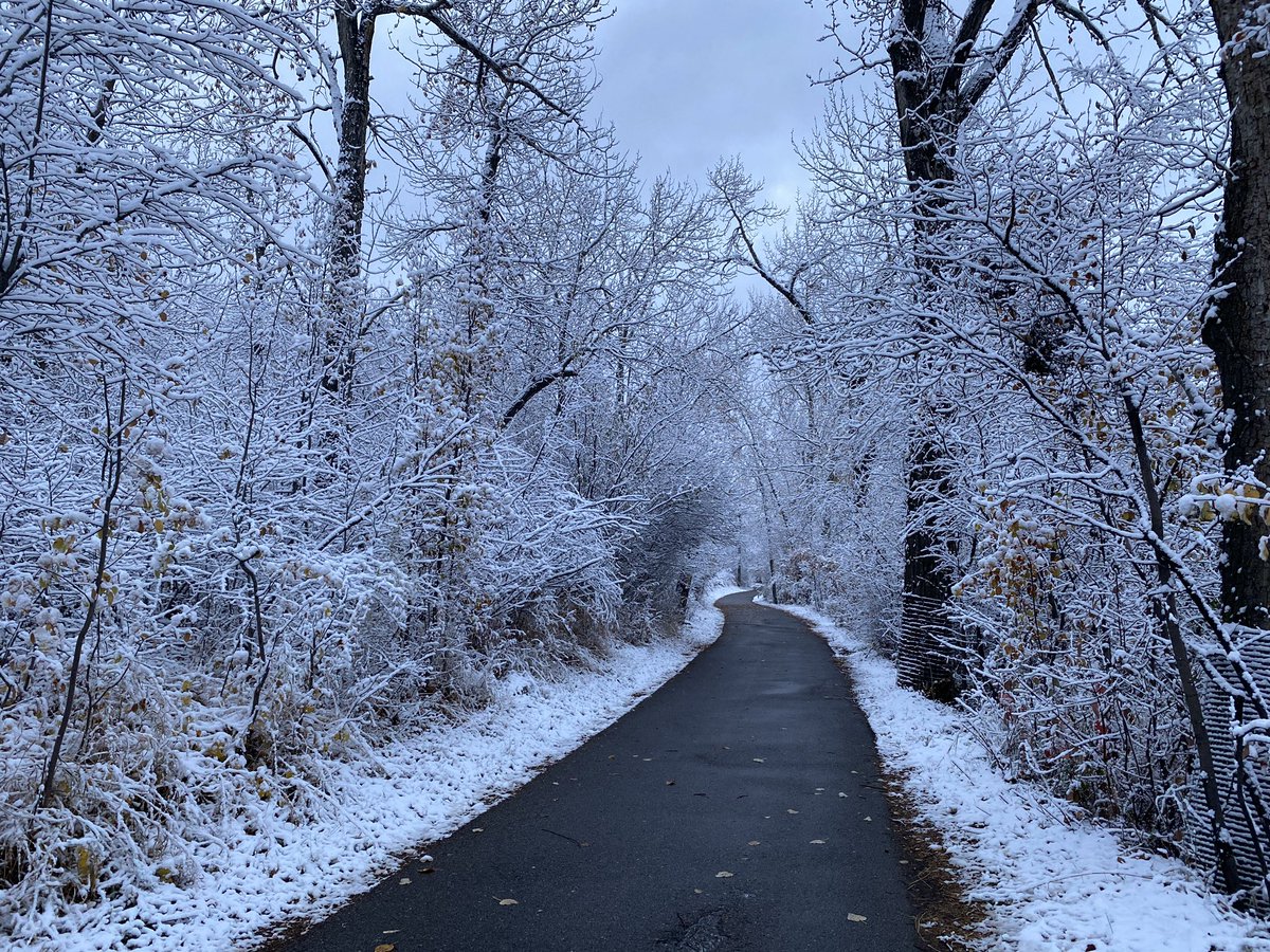 CBM_CA's tweet photo. Our January Mission Statement cover photo is by Torval Mork! Here is the full uncropped version. Submit your photos for the cover to cbmca.editor@gmail.com #yyc #cbmca #calgary https://t.co/LDgTRb0j1L