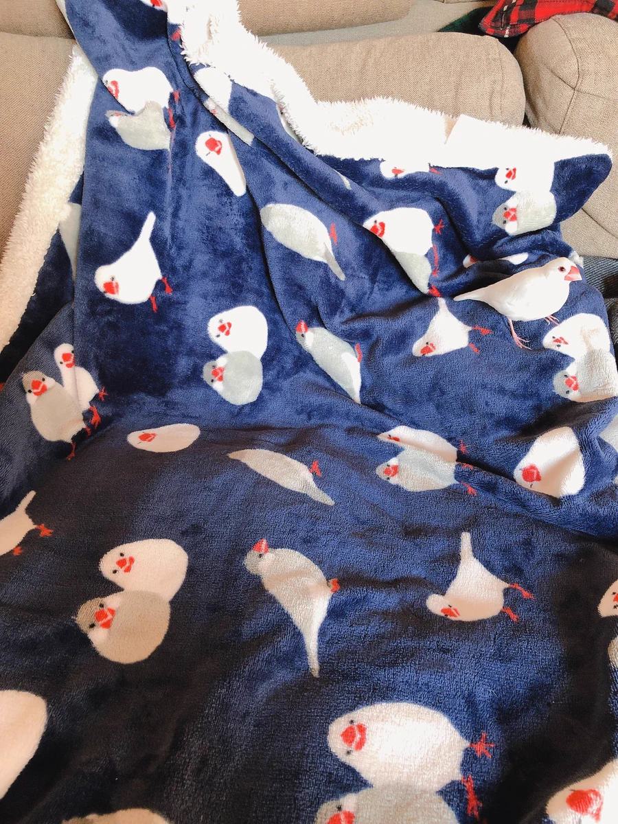 見失っちゃいそうになる？このなかに紛れ込んでいる本物の文鳥、あなたは見つけられる？