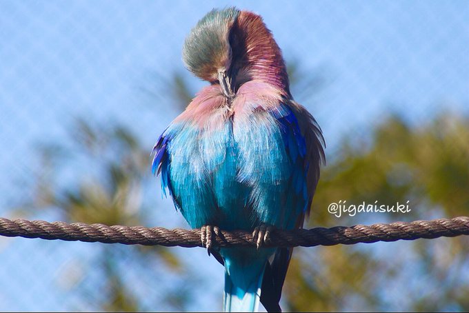 まつ毛が長いのtwitterイラスト検索結果