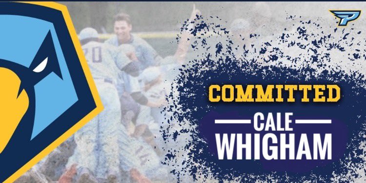 Point University Baseball tweet media