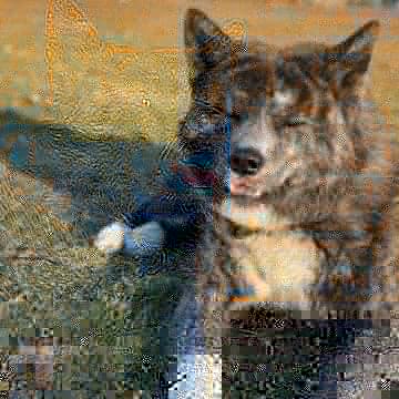 Japanese AKITA *AKITA-Inu tweet media