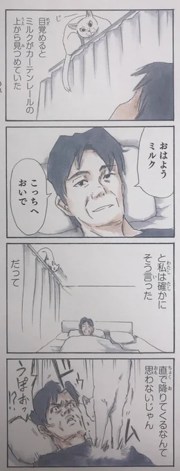 『拾い猫のモチャ4』収録。地域によっては流通数も少なく入手が難しいですが、見かけたら是非?‍♂️ 