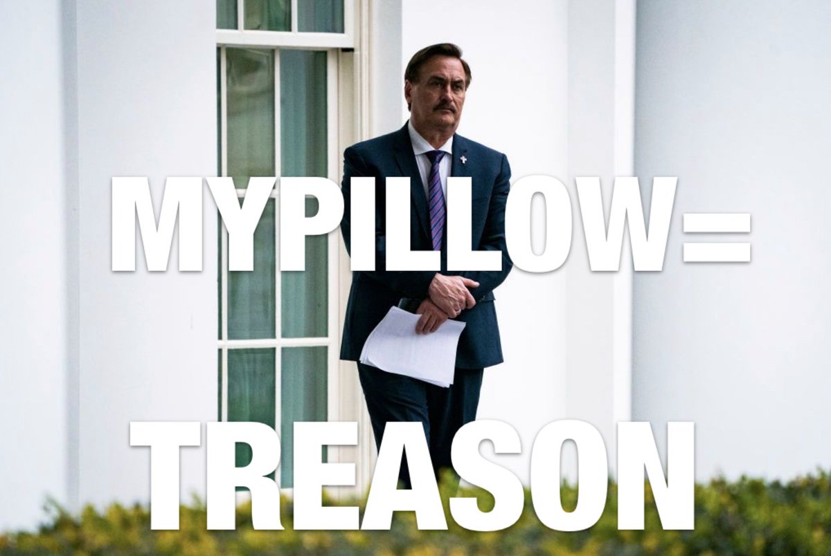 El_Donald_Trump's tweet photo. Come on #Costco do the right thing. Hawking his shitty pillows is funding domestic terror and a traitor. https://t.co/u01pcFOnWL