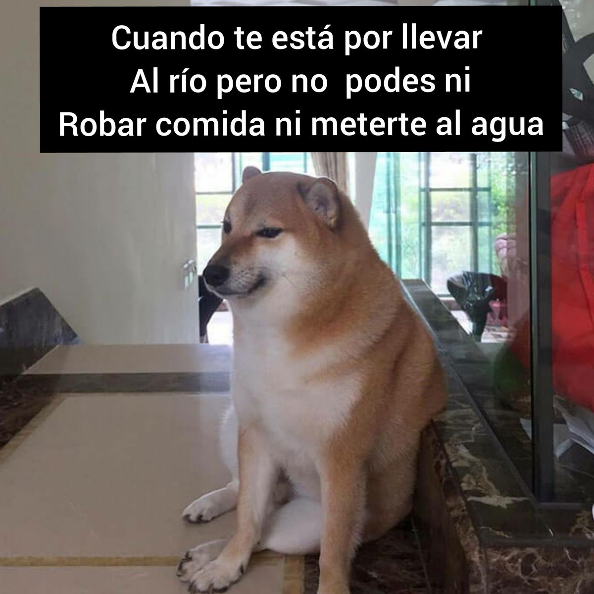Vivir en mina clavero (@enclavero) on Twitter photo 