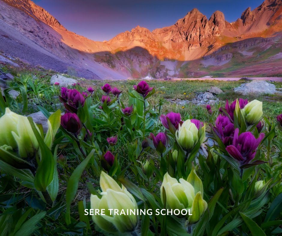 SEREtraining's tweet photo. "The beauty of the natural world lies in the details." — Natalie Angier 🌺
#NatureThursday #Thursdaythoughts #Thursdaymood https://t.co/VPgahWaJJw