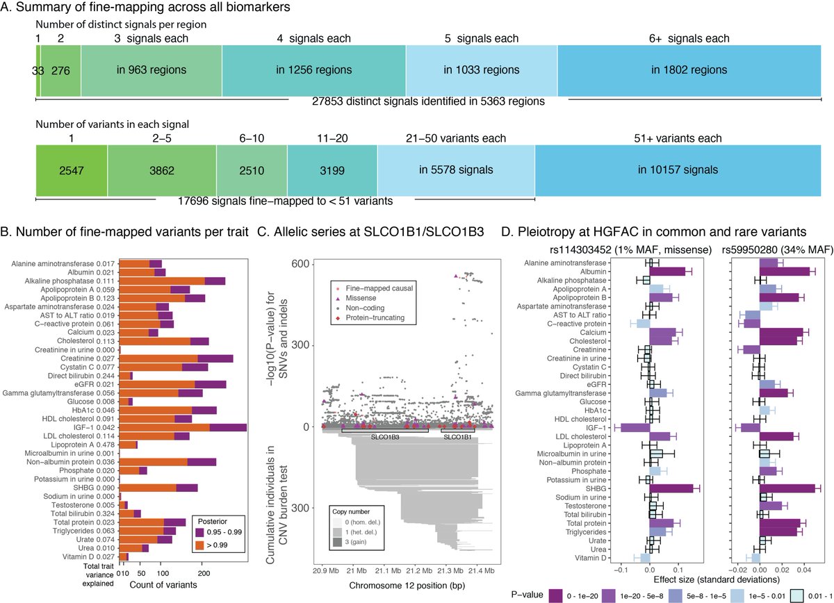 yk_tani's tweet photo. With FINEMAP, we identified >27,000 distinct signals in >5,000 regions across the 35 traits, of which >2,500 signals were fine-mapped to a single variant. We also trained sparse polygenic risk score (PRS) models with Lasso L1- penalized regression using the snpnet package. (4/n) https://t.co/jHnX1ZZaWA