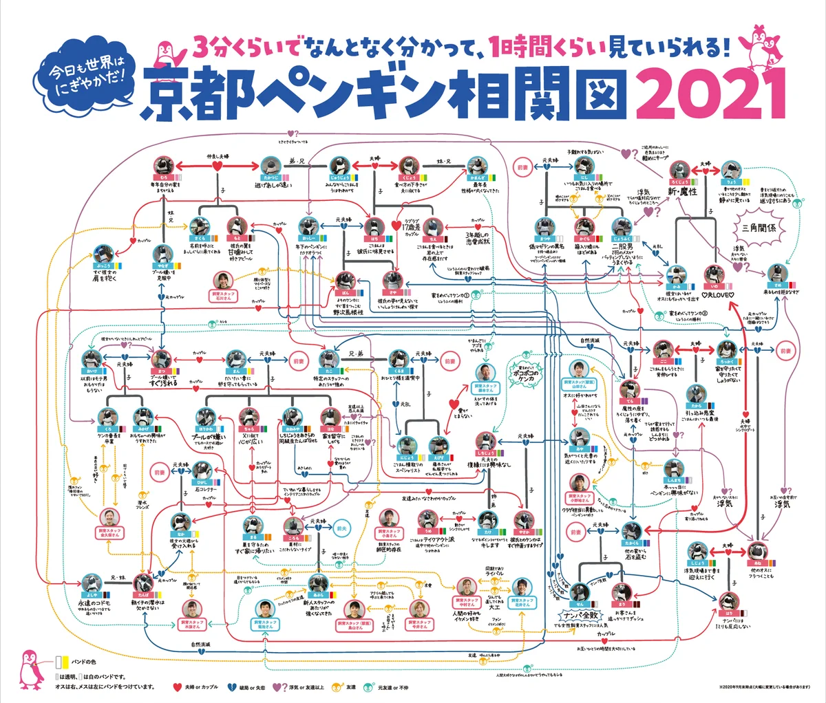 その関係性は複雑？京都水族館のペンギン相関図www
