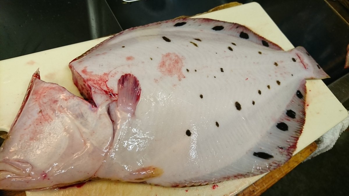 酒房食彩もぐ こんにちは ˊᵕˋ 間もなくランチオープンです 本日のランチは 刺身定食5種盛り メジ鮪 寒鰤 星鰈 アイナメ 真鰯です 煮魚定食 鰤のカマ煮 焼き魚定食 鯖の醤油焼き の3品です 皆様のお越しをお待ちしておりますm M