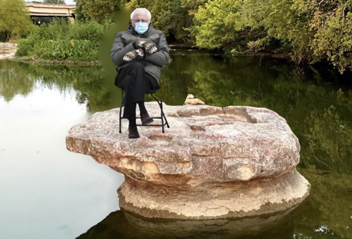 kelswindle's tweet photo. omg Bernie you can’t sit on the round rock https://t.co/nIaU5aT6iu