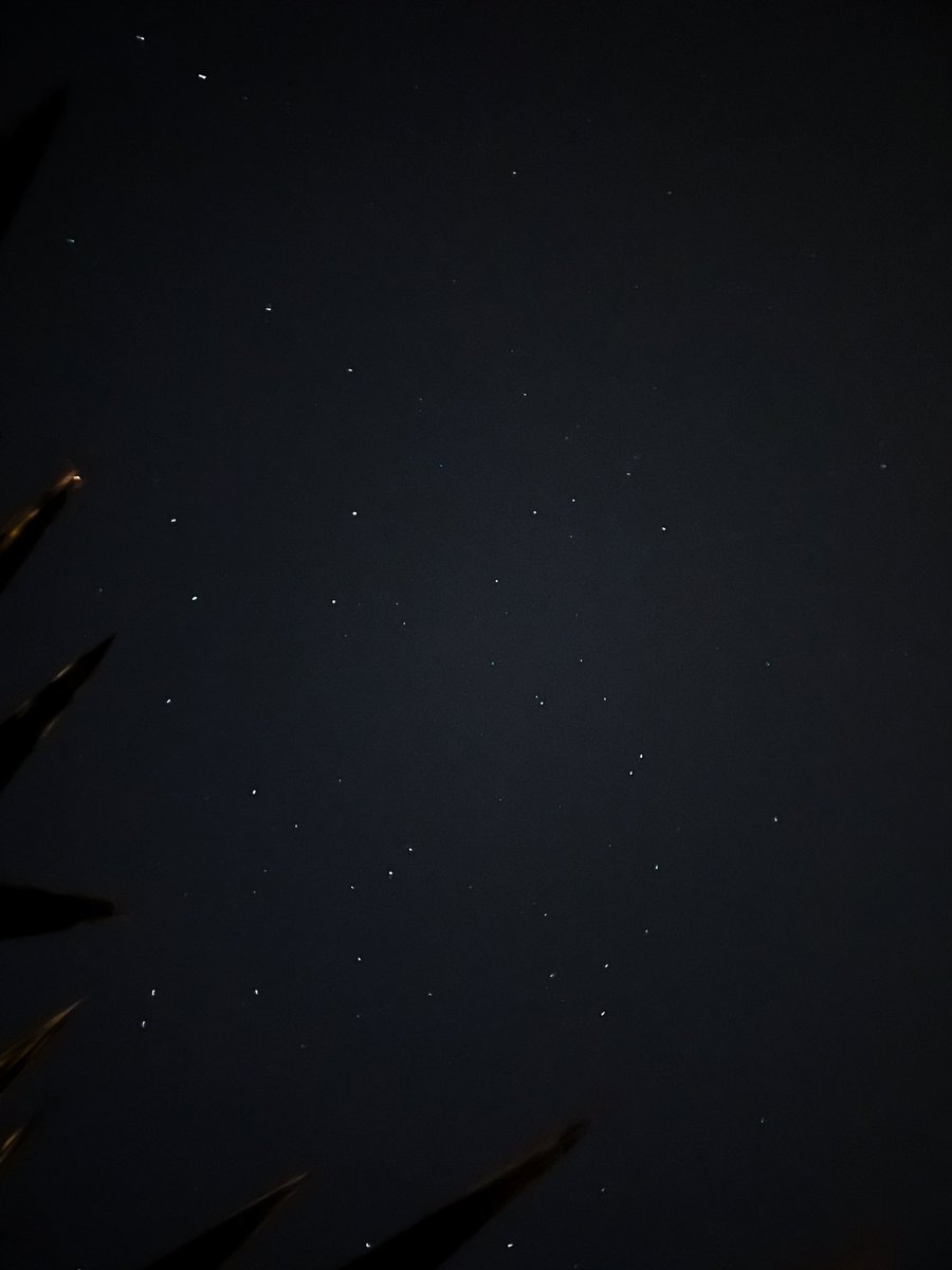 TheForgeofMars's tweet photo. Quite a peaceful and beautiful night sky outside this morning. Really pleased that I got a couple of great star filled views, I’ve been quite lucky indeed. #beautiful #darksky #photography #starview #EnjoyTheDarkness https://t.co/UJiwG5bjGT