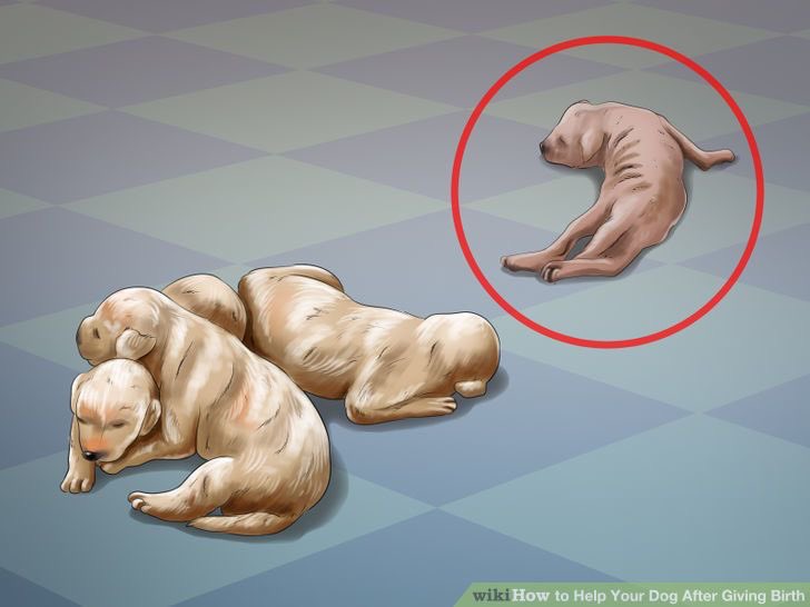 lucillebluth_'s tweet photo. How get job on wikihow animation team? https://t.co/NMlxN8SUgX