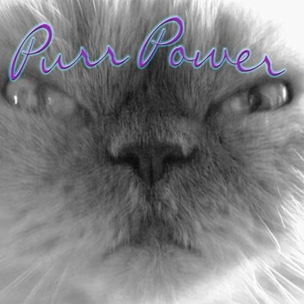 mhmelbourne's tweet photo. @vroberts9 @BMissythe @salemtroika @lynda3035 @sharon_cantley @DonnaLeeThomps8 @Marina935home @marisbellamy1 @ToughGuyMankas @Palmolive_S_Pan @VitCza @1gingerbeauty Sending #healingpurrs for our #headtuffcat unkie Luis and sweet pal Salem.
Turbo 2.1 purrs and #purrayers for strength, recovery, and health. ๐๐ผ๐พ
#purrchoirforLuis #purrs4Luis https://t.co/vaRmHeYEWu