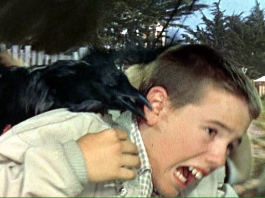 Bad Luck Charm (@qrowbranwenbot) on Twitter photo 