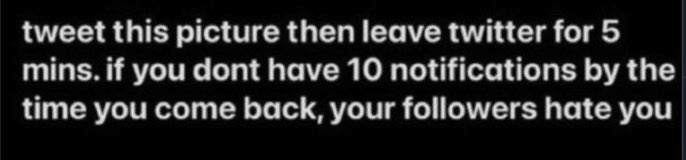 Random Ass Images tweet media