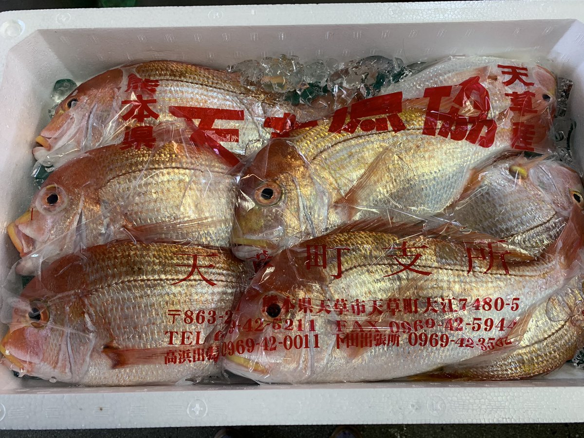 なごみ庵 公式 熊本仕出し 週末のお祝い用の会席膳のため 市場で連子鯛を仕入れました 塩焼き用に下処理をしていますが 鯛の口の中になんかいる つづく 虫が苦手な方は続きは見ないでください 企業公式秋のフォロー祭り タイノエ