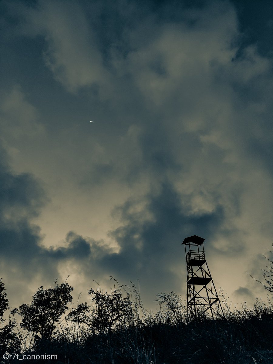richierich981's tweet photo. Forever tethered 💫
.
.
.
.
#moon #luna #chandra #nila #selenophile #hilltop #watchtower #trek #sunset #cloudscapes #cloudporn #adobelightroom #shotononeplus #mountainchild #hill #sirumalaiforest #r7t_canonism https://t.co/TXVeTHzz0j