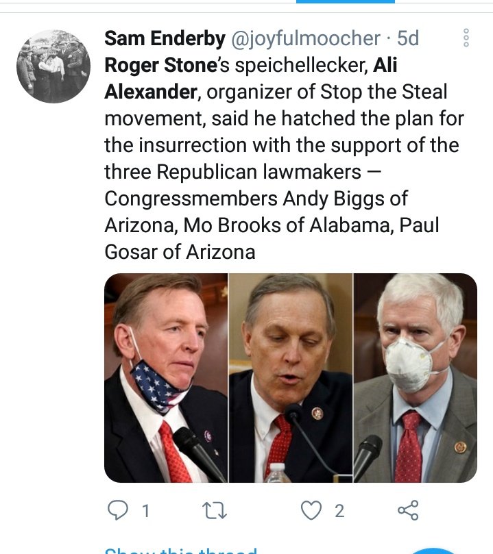 Ali has been a Republican operative going back to at least 2008 with NoName (see Floyd's thread). Other political affiliates include: TW Shannon, Sarah Palin, Ted Cruz, Andy Biggs, Mo Brooks, and Paul Gosar.