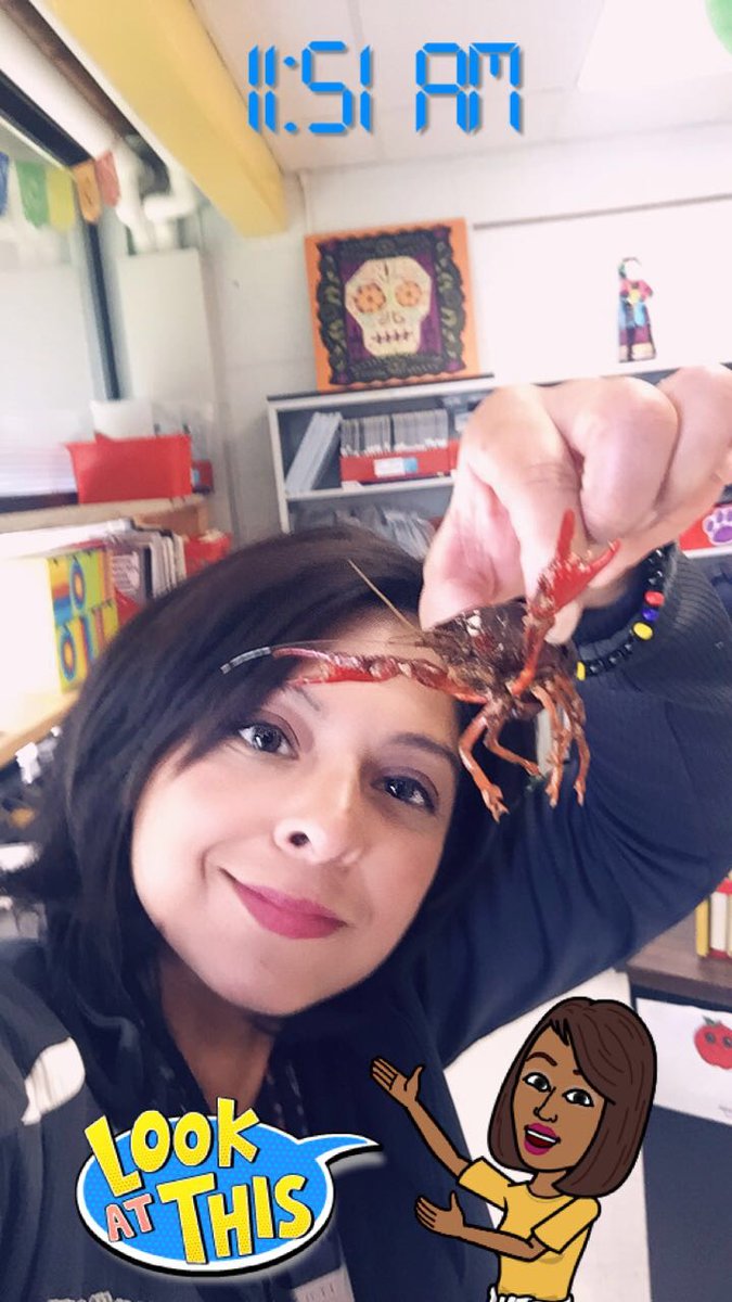 Maritza Galvan tweet media