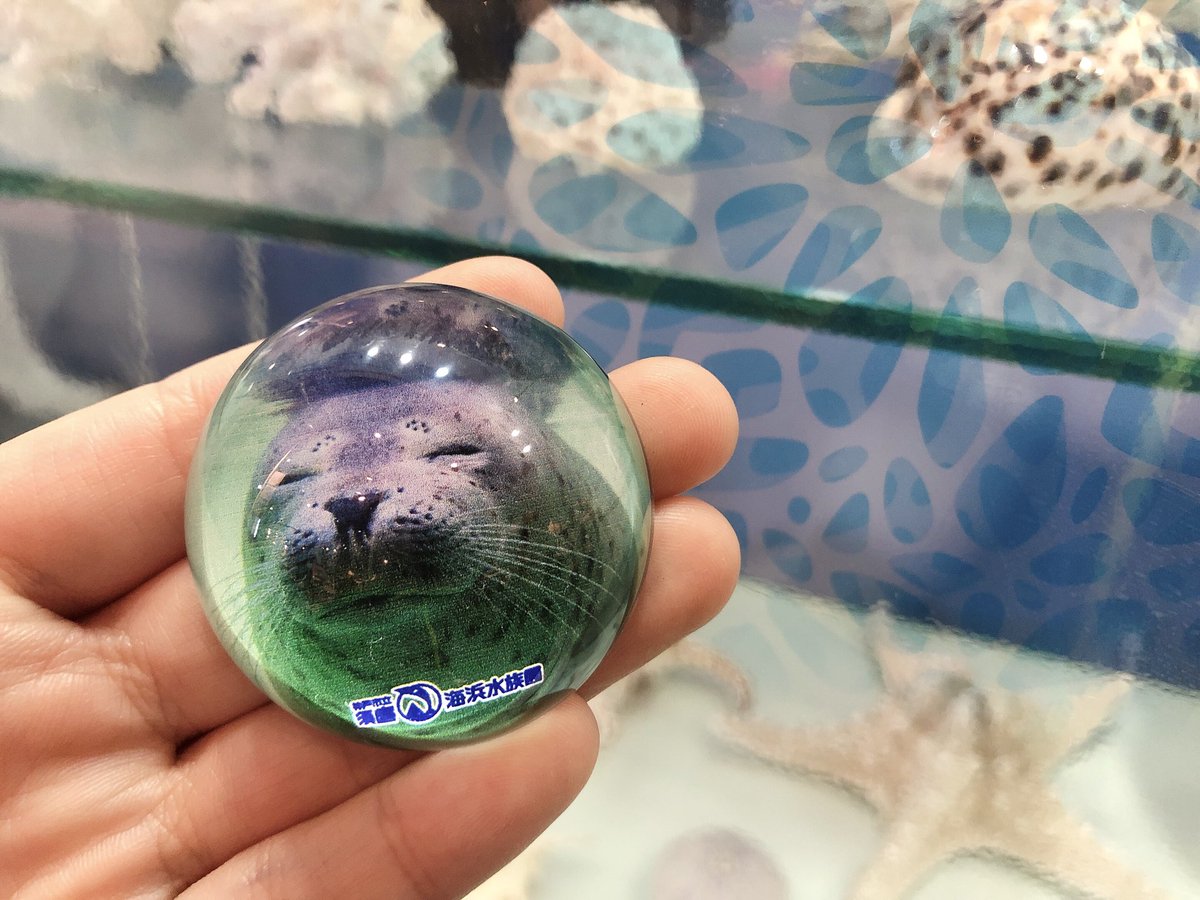 期間限定〜 新商品のご紹介③ 思わず集めたくなるドーム型のマグネット