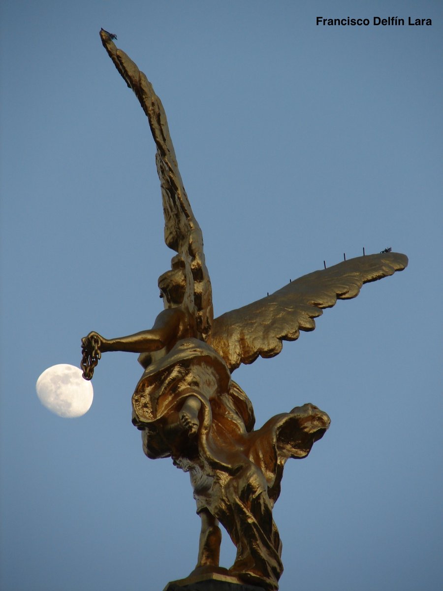 Sexualogia's tweet image. De modo similar a la Victoria Alada que trae colgada a la Luna, mañana colgaré mi Podcast "Atención integral de las Personas con Discapacidad",  mi intervención en la Cámara de Senadores en el 2017. Escúchala y viertes tus opiniones al respecto, pero por favor: CUÍDATE.