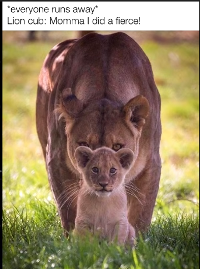 RubyKila's tweet photo. "bUt HoOmAnS AnD fUrRiEs CaNt HaVe bAbIeS"
"hehe human cub goes grrr" 

And what better way to express it than with Sierra Leona, when she's not acting, she is being the lovely mother of three children. Watch your intentions she's on the prowl

#Furry #Human #Hholesome #familyfun https://t.co/5QRRY7VdTb
