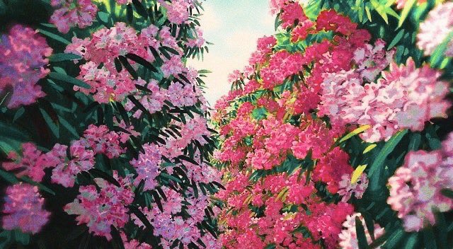 Tonight I bring a thread of nice anime art <3