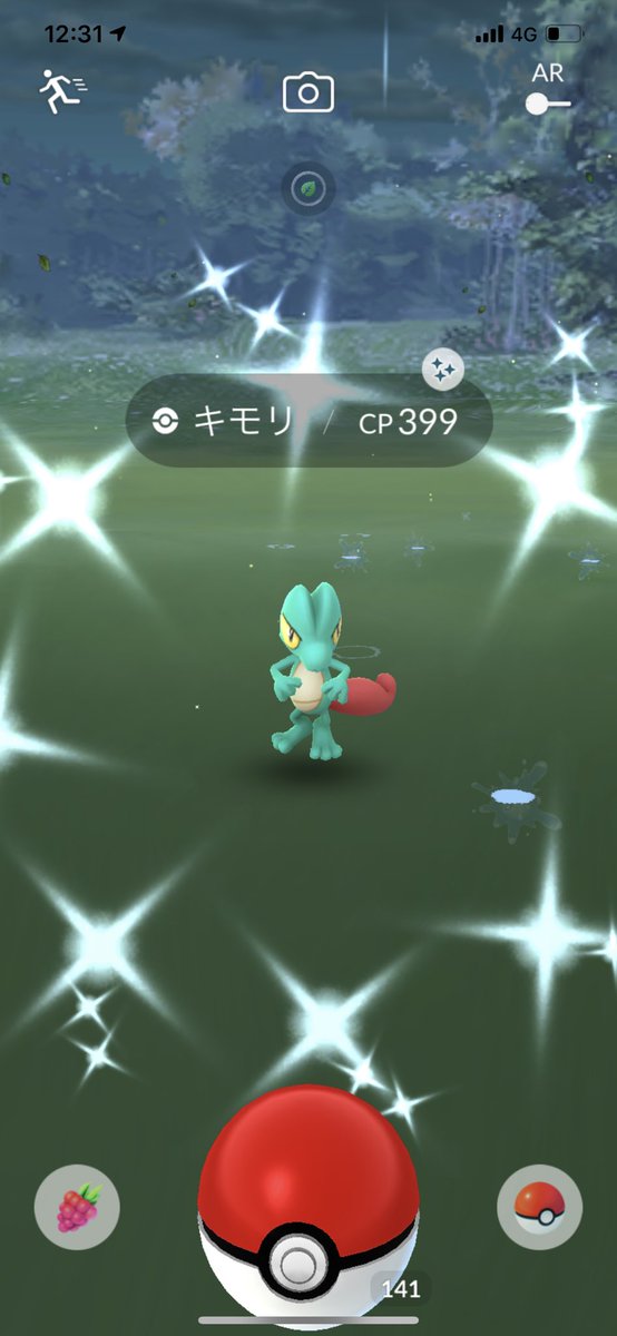 りさ キモリ色違い 既に持っとるけどジュプトルにしてボックス内で揃えよかな ポケモンgo 色違い りさ キモリ色違い 既に持っとるけどジュプトルにしてボックス内で揃えよかな ポケモンgo 色違い