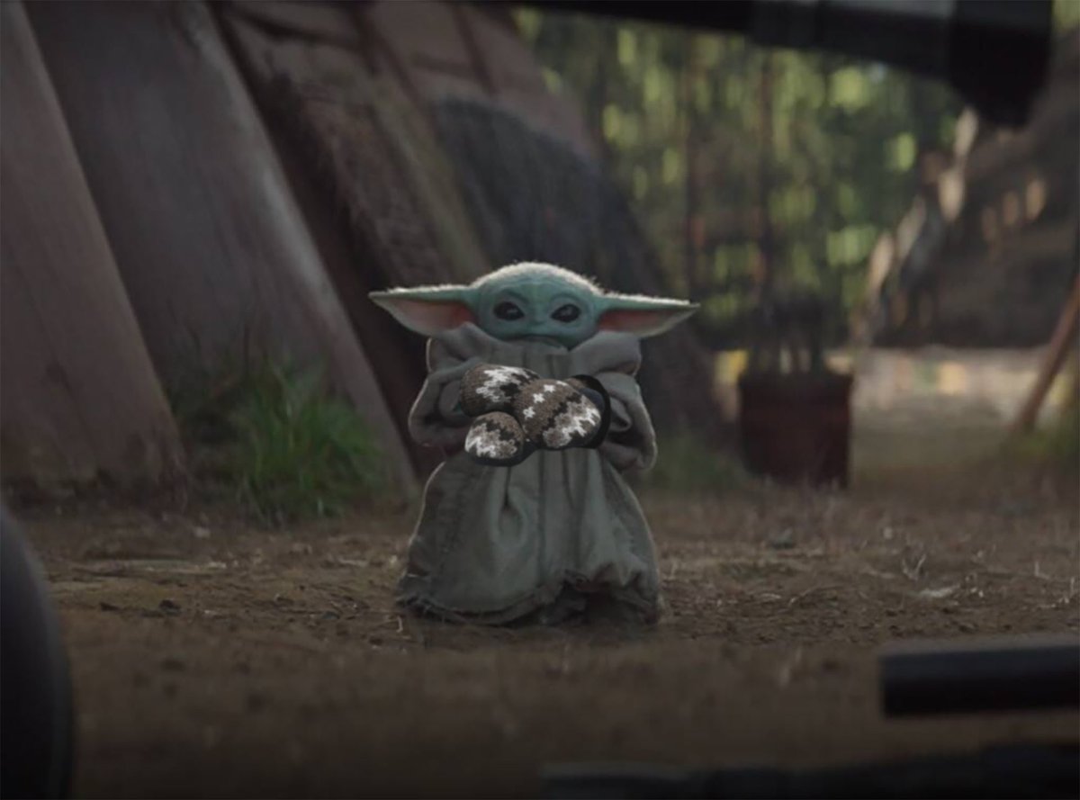 rafaelshimunov's tweet image. baby bernie