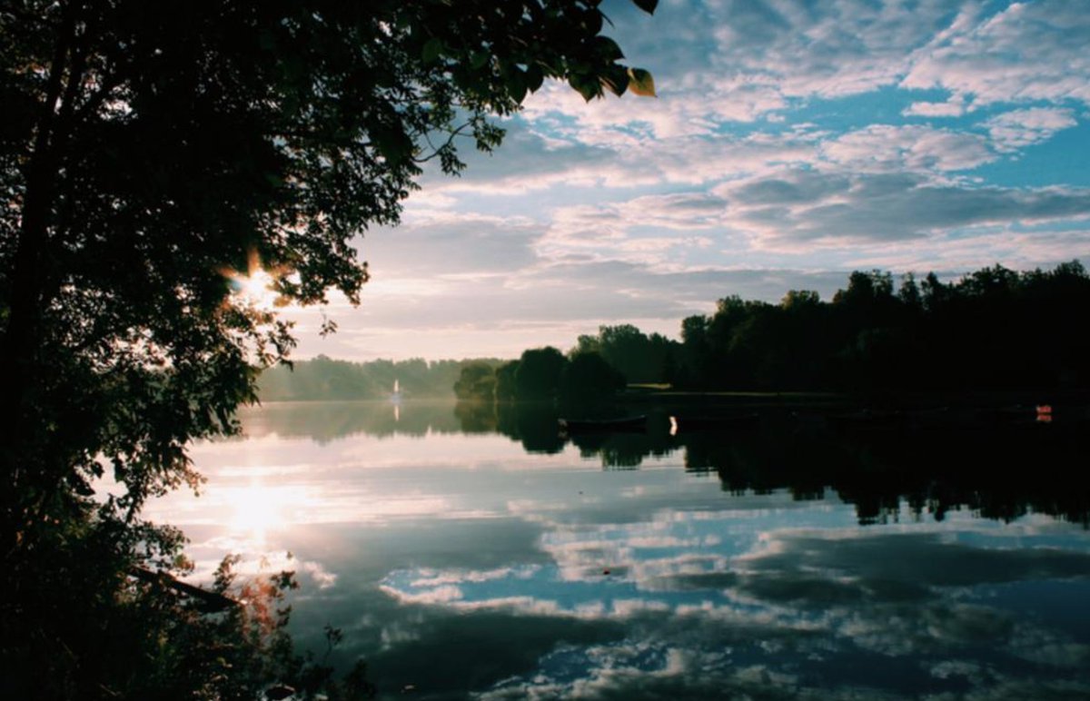 Joseph Gordon-Levitt tweet media