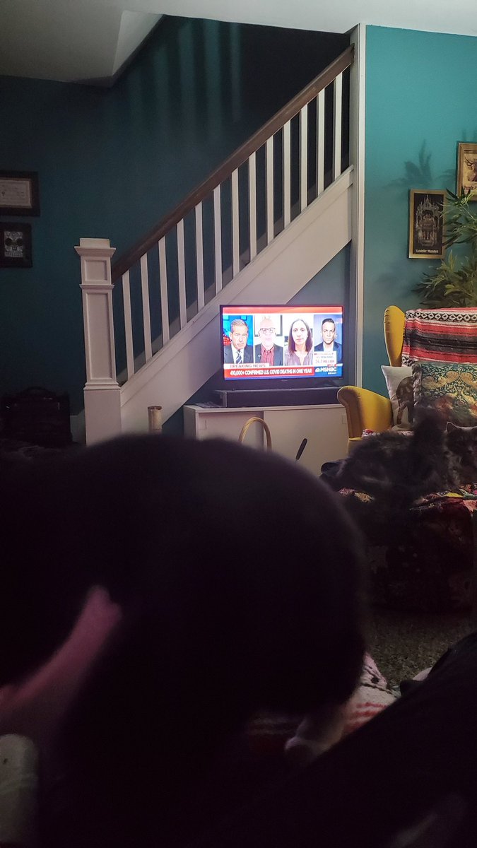 KaraCalavera's tweet photo. The best #gonzogram I could manage.
I've been coaxing Gilda into her crate an hour before I go to bed, and Bartleby and Gonzo hang out with me while I read or watch "The 11th Hour". They're so disappointed when she's back the next day. https://t.co/VodVtIWVvT