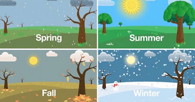 Фф лето в январе. Пейзажи по временам года для дошкольников. Иллюстрации с изображением времен года. Времена года рисовать. Четыре времени года рисунок.
