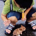 昔は雨に打たれ助けてオーラ全開の猫が今では・・・!どちらもかわいい