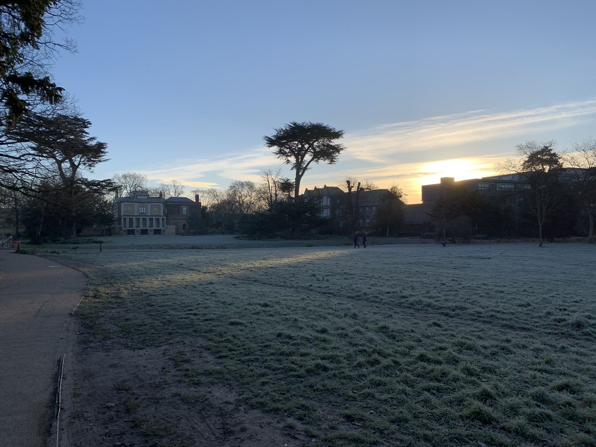 Frosty morning walk #londonlockdown ☀️