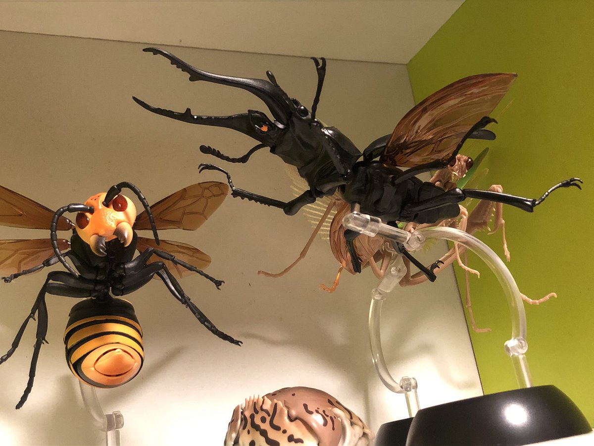 ラインナップよく見ずにクワガタムシのガチャ回したんだけど あれ このアゴ ギラフ ほろ雪のイラスト