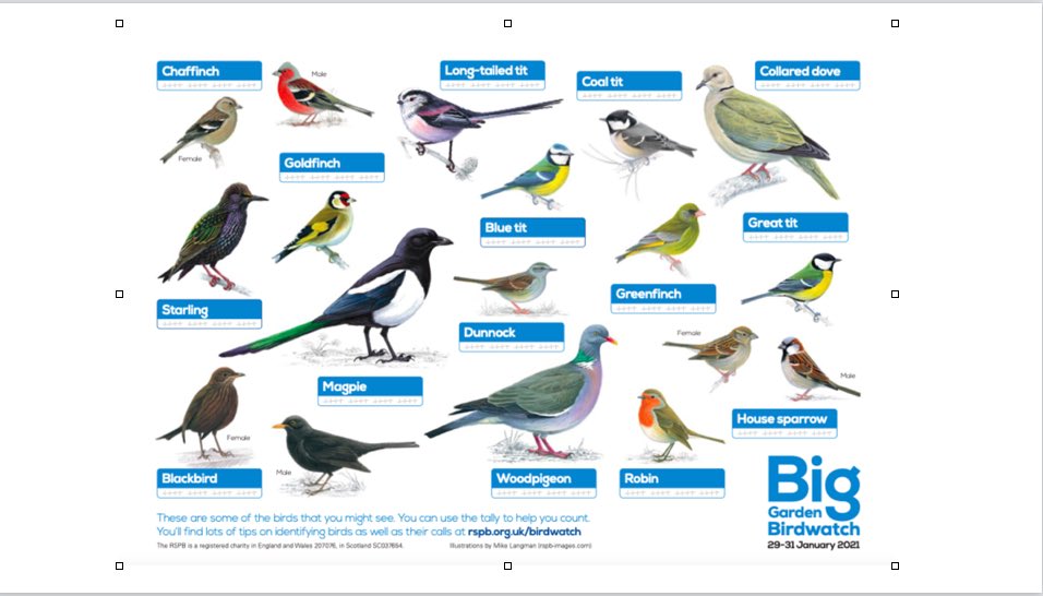 We’ve a special online event this Saturday aimed at families to help them with the RSPB Big Garden Birdwatch. Please join us. Details on the Langdyke website here langdyke.org.uk/2021/01/bird-e…