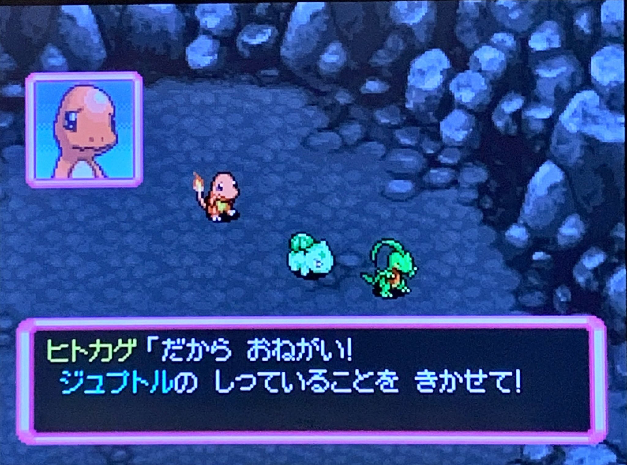 42 ジュプトルに話を聞く その1 ピクミン マリオ ドラクエ Ff ポケモン日記
