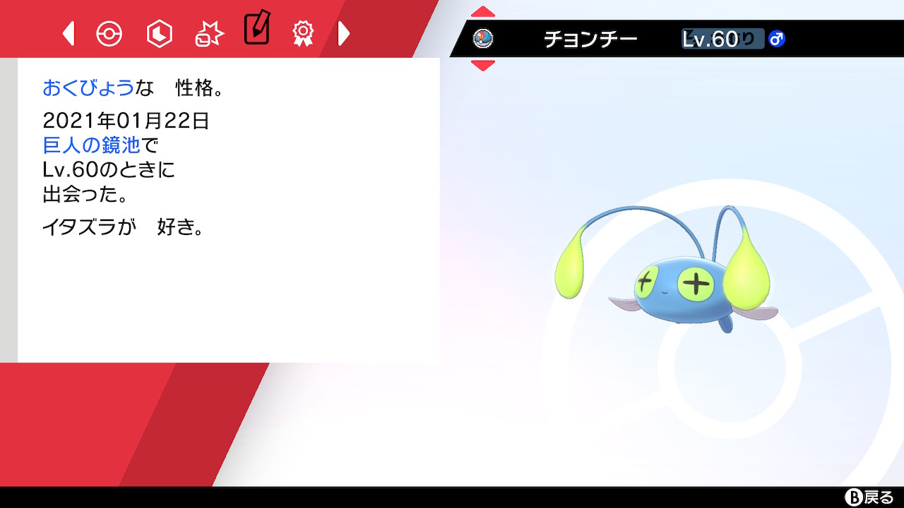 セイ 色違いチョンチー ポケモン剣盾 Nintendoswitch T Co 2qpgnbgscy Twitter