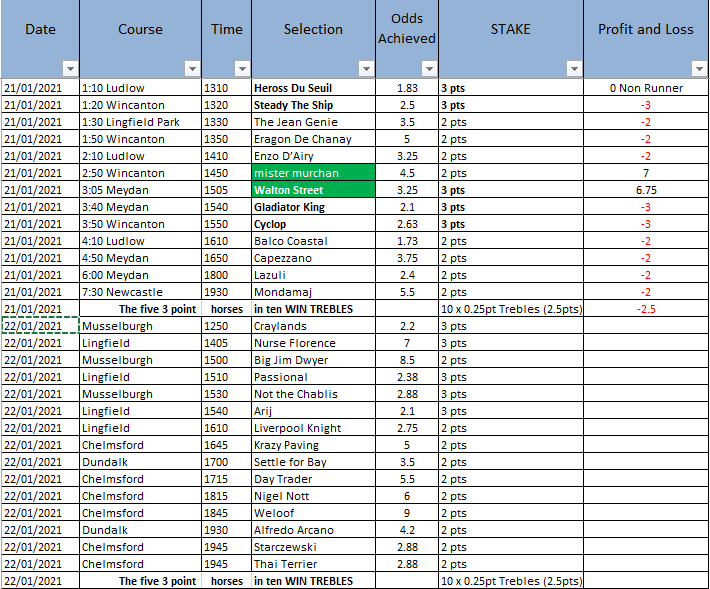 SS_RacingTips tweet picture