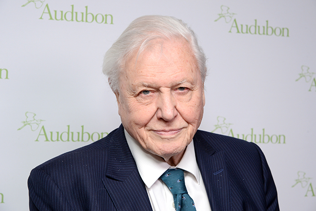 News24Arts's tweet photo. A Perfect Planet | New docuseries by David Attenborough to air in South Africa in February https://t.co/AnWsNPfzym - @BBCEarth https://t.co/iPCbHrQC3K