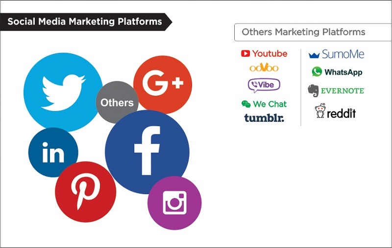 Sure Solution Tech tweet media