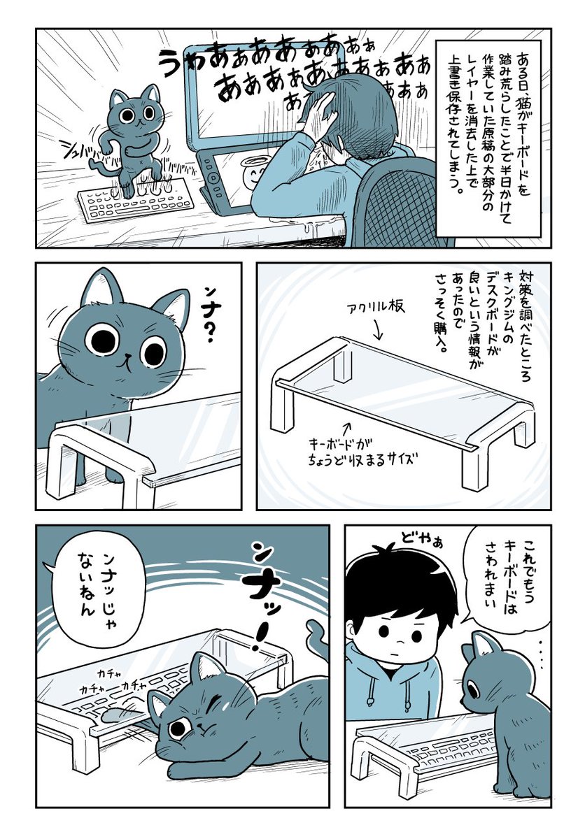 猫日記です 