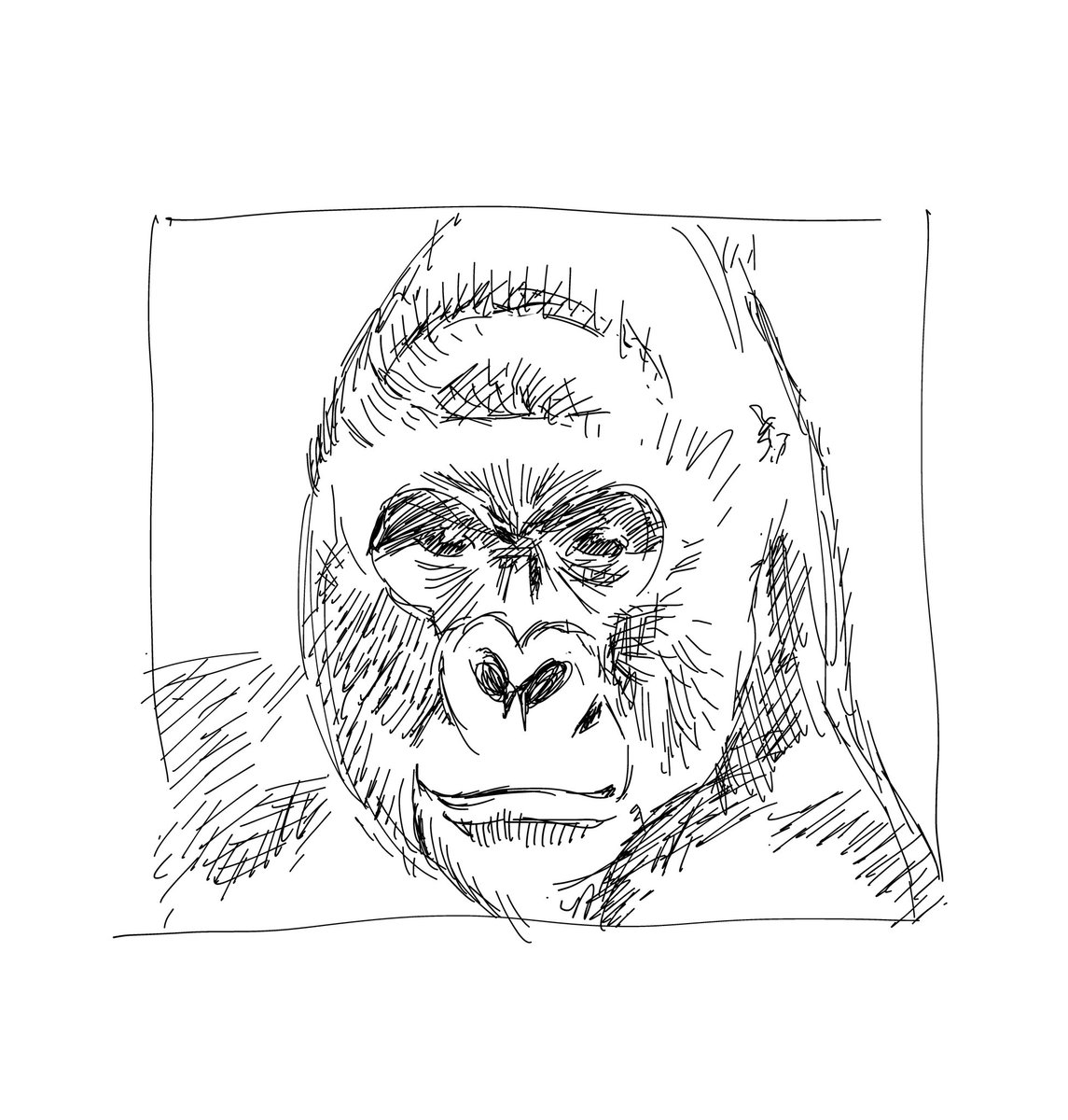 Twoucan ゴリラ の注目ツイート イラスト マンガ コスプレ モデル